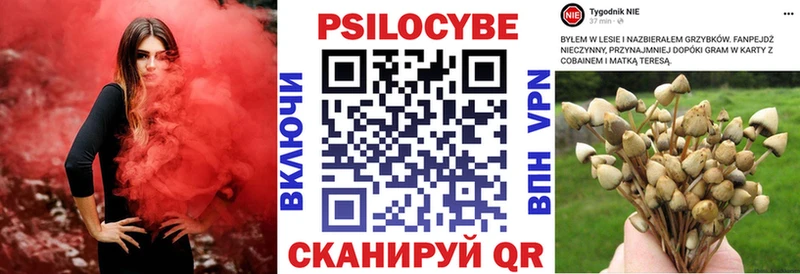 Псилоцибиновые грибы мухоморы  Лосино-Петровский 